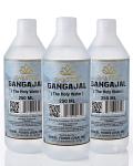 Swastik - Gangajal (The Holy Water) 3 bottle value pack- Net Wt: 750 ml 